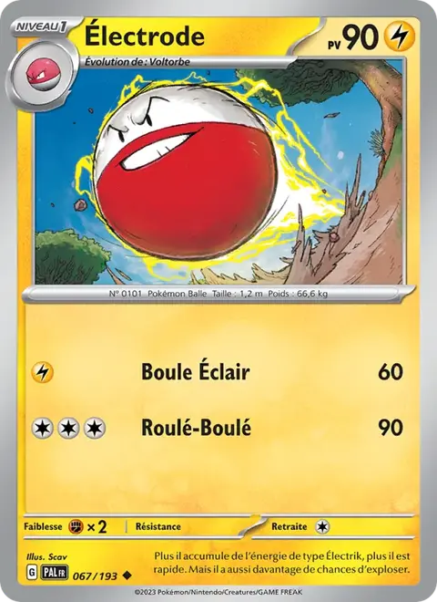 Électrode
