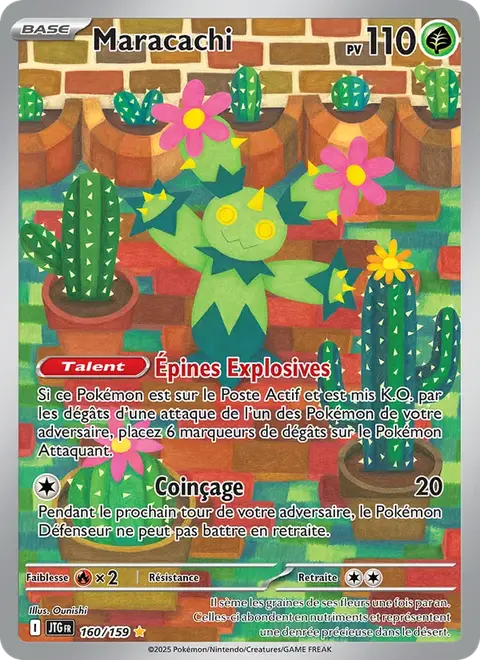 Maracachi