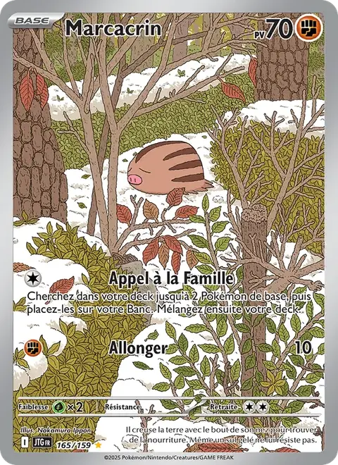 Marcacrin