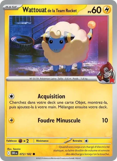 Wattouat de la Team Rocket
