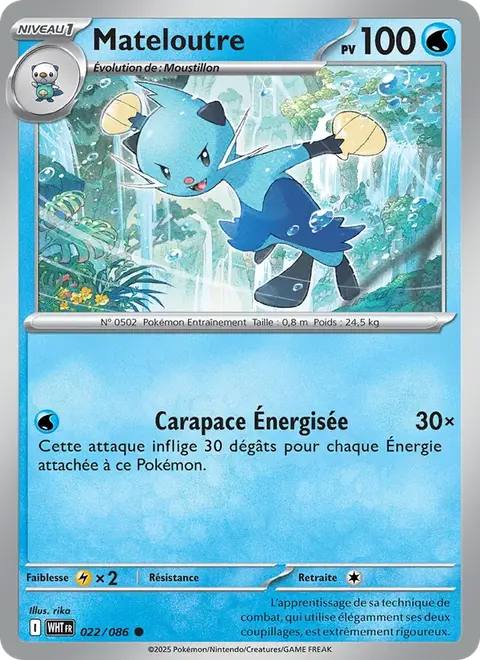 Mateloutre