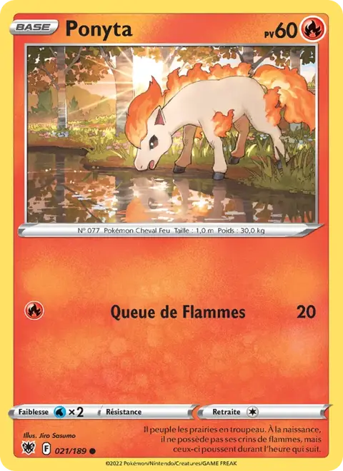 Ponyta