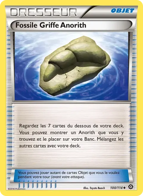 Fossile Griffe Anorith