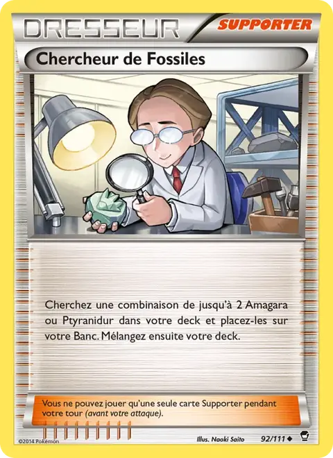 Chercheur de Fossiles