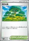 Forêt de Vitalité