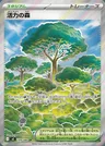 Forêt de Vitalité