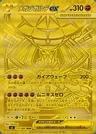 Méga-Zygarde-ex