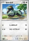 Motorizard