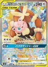 Lockpin-TAG TEAM-GX