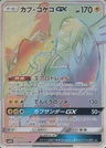 Tokorico-GX