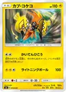 Tokorico