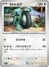 Motorizard