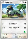 Motorizard