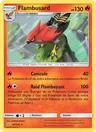 Flambusard