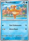 Mustébouée